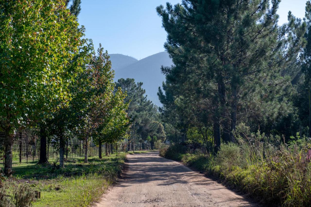 Buffelsdam Country House Kurland Ngoại thất bức ảnh